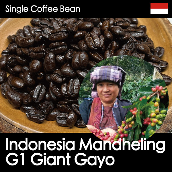 NEW【深煎り・しっかりとした甘味、コクとスパイス感】マンデリンG1ジャイアントガヨ・150g/500g