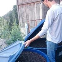 Decaf【浅煎り・アロマとフレーバーが楽しめるデカフェ】ブラジル・フルッタメルカドン・アナエロビック・ナチュラル・150g/500g