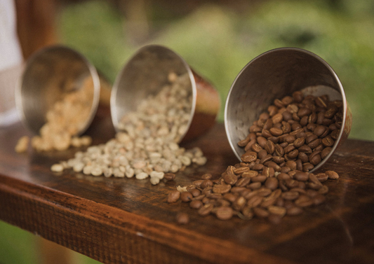 ＼入会特典つき／お得な新コース「200g×3種 定期便」がスタート！