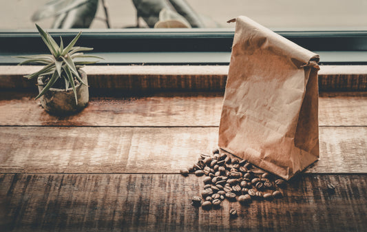 【コーヒー豆の熟成 vs 焙煎したて】どっちが美味しい？