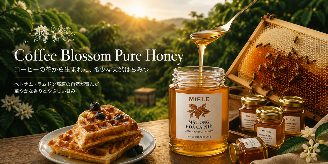 コーヒーの花から生まれた希少な天然はちみつ、入荷しました