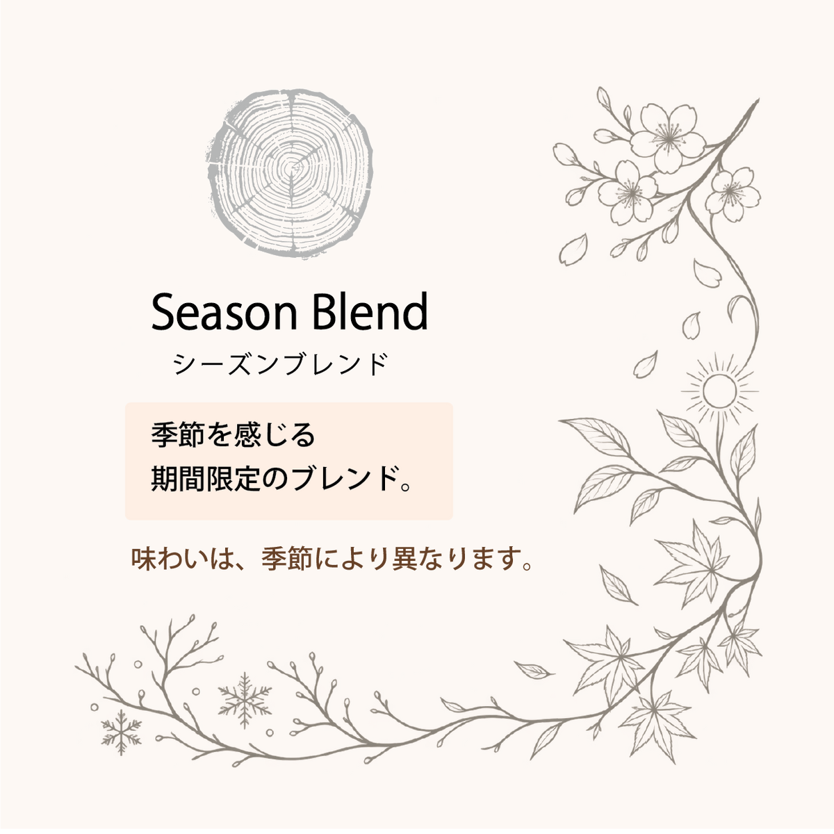 ドリップバッグ15個セット《送料無料》
