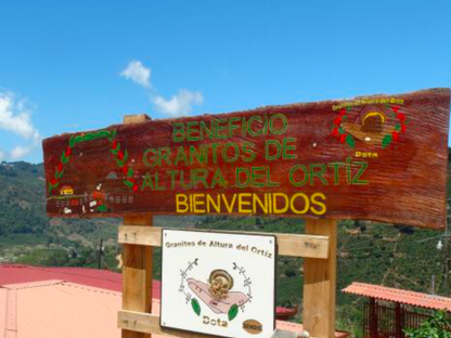 NEW【中浅煎り・柑橘香る透明感ある上品で華やかな味わい】コスタリカ・エルパライソ農園・ナチュラル ミディアムロースト・150g/500g