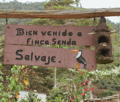 ボリビア・カリメロ ユフラ【浅煎り・紅茶のように上質で、黒糖の甘みが広がる】150g/500g