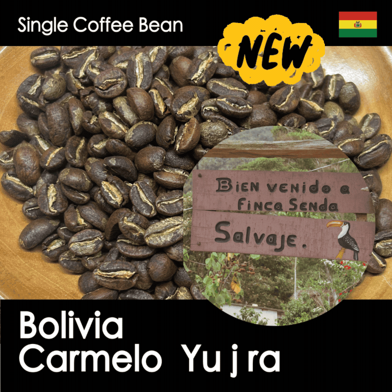 ボリビア・カリメロ ユフラ【浅煎り・紅茶のように上質で、黒糖の甘みが広がる】150g/500g