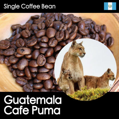 NEW【中深煎り・キャラメル香る、伝統グアテマラの一杯】グアテマラ・カフェピューマ・150g/500g