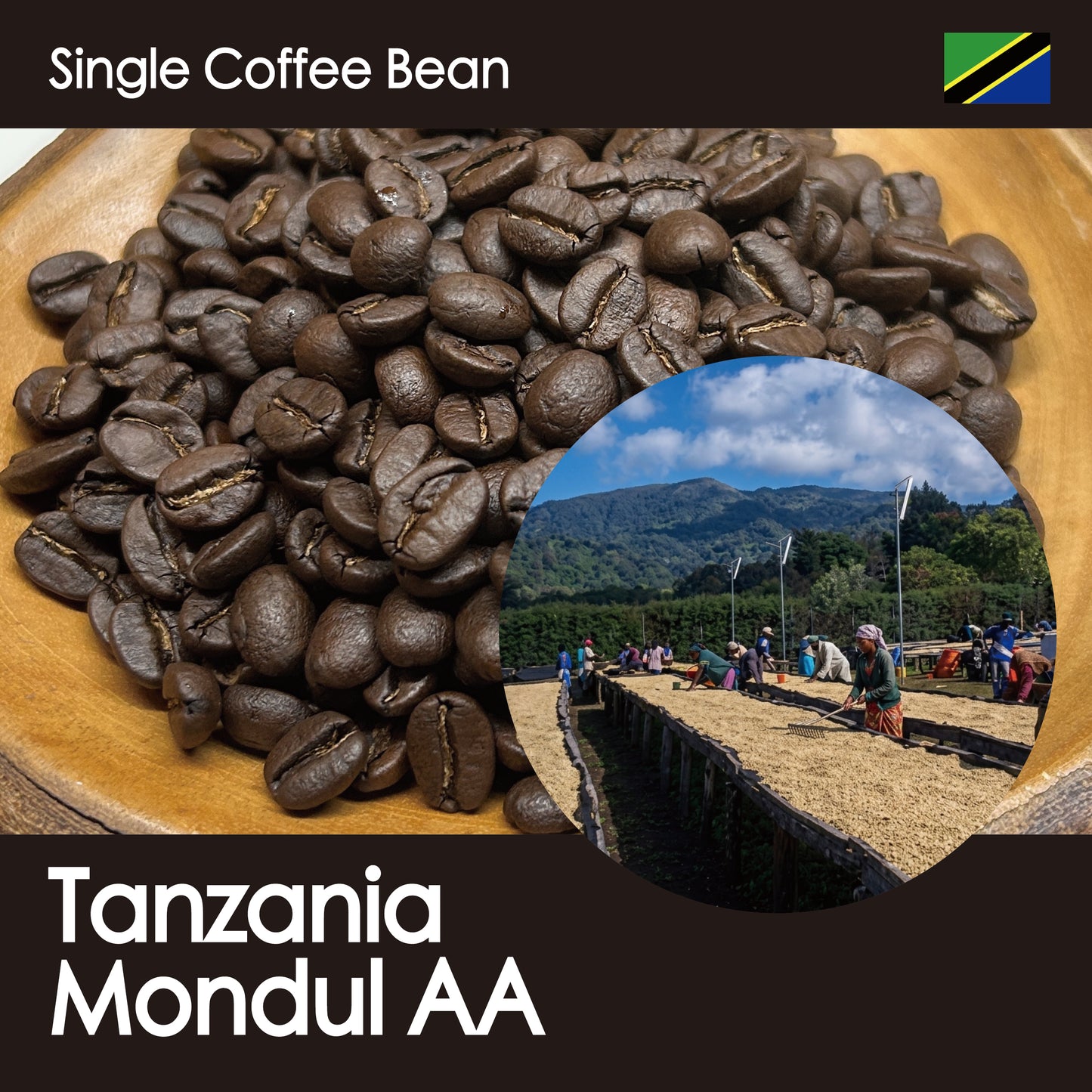 タンザニア・モジュール農園【中深煎り・丸い口当たりとザクロのような甘く爽やかな余韻】150g/500g