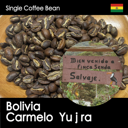 ボリビア・カリメロ ユフラ【浅煎り・紅茶のように上質で、黒糖の甘みが広がる】150g/500g