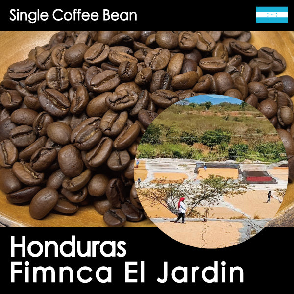 NEW【中浅煎り・華やかで果実感ある紅茶のような味わい】ホンジュラスジャルディン農園 ハニープロセス ミディアムロースト・150g/500g