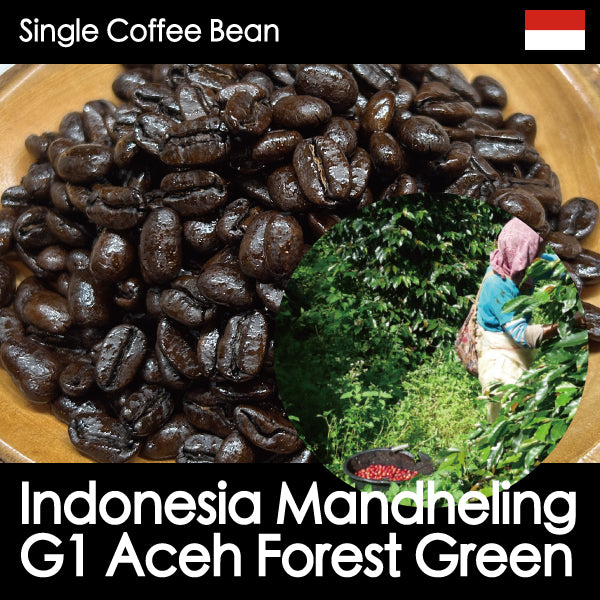 NEW【深煎り・しっかりとした甘味、コクとスパイス感】マンデリンG1アチェフォレストグリーン・150g/500g