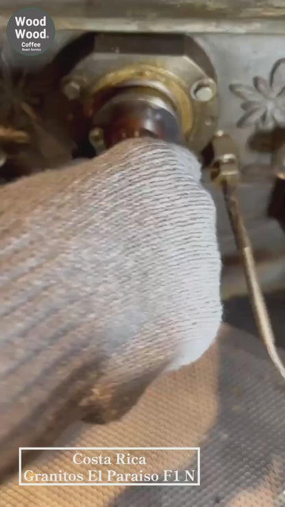 NEW【中浅煎り・柑橘香る透明感ある上品で華やかな味わい】コスタリカ・エルパライソ農園・ナチュラル ミディアムロースト・150g/500g